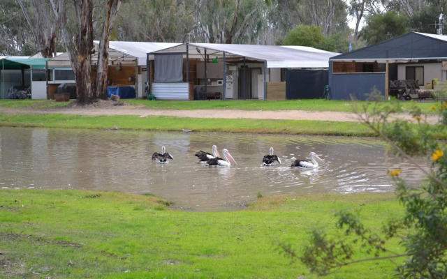 Ingenia Holidays Murray Bend