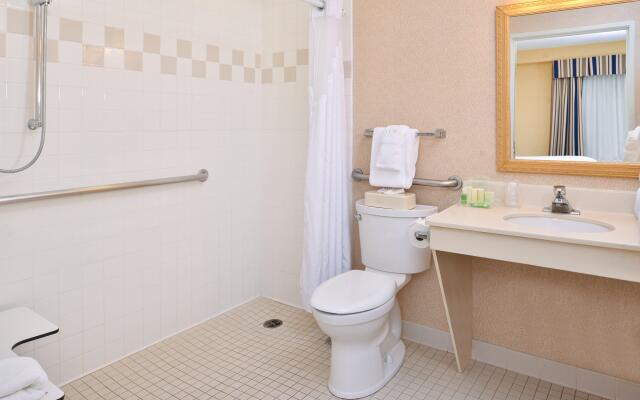 Holiday Inn & Suites Chicago - Downtown by IHG