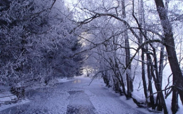 Hotel Pension Hochficht