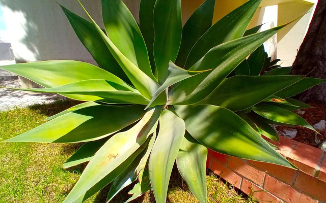 Oceanview Duplex shared Pool & Beach Sesimbra