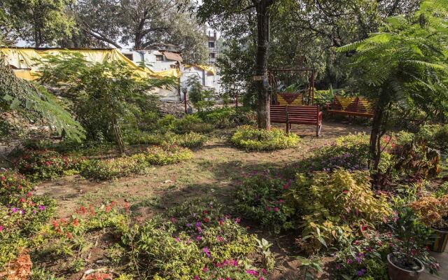 WOW STAYZ2 Misty Meadows