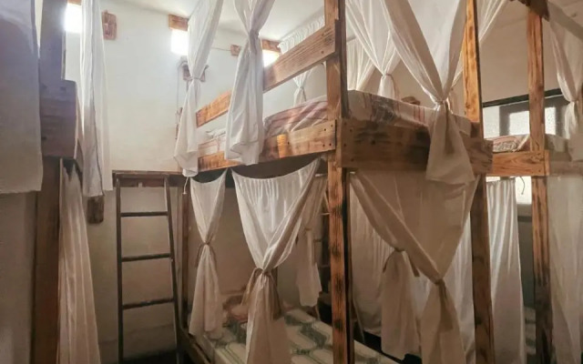 Natural Mystic Hostal