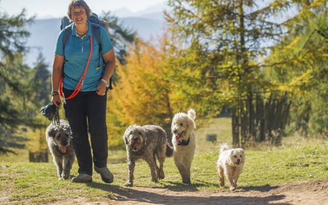 Hotel Mair am Ort (Dog Hotel)
