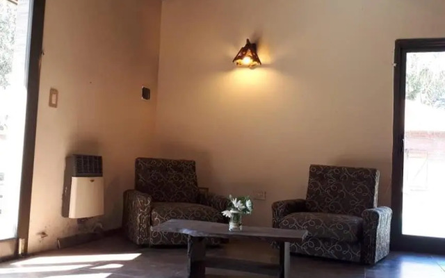 Bosque Peralta Ramos. Zorzales del Bosque