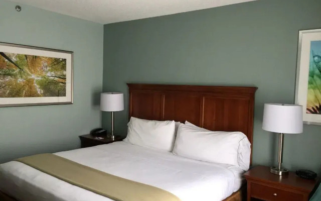 Holiday Inn Express Braselton