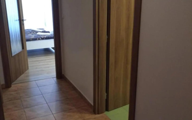 Lipno Riviéra - Myši v botě