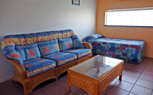 Driftwood On The Beach