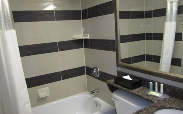 Comfort Suites Downtown