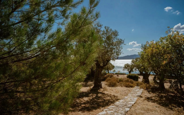 Traditional Architecture Seafront Stone House in 25000sqm Olive Grove - C