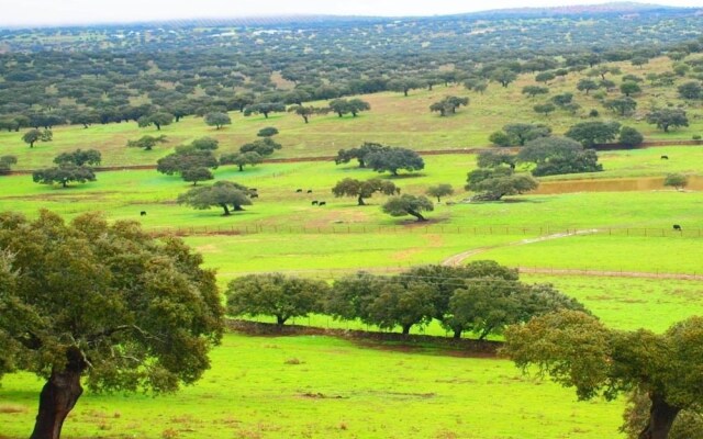 Casas Rurales Acebuche