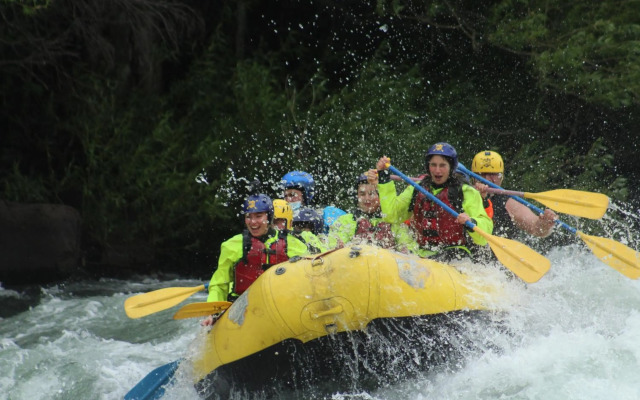 Cabaña Bosques de Cudico