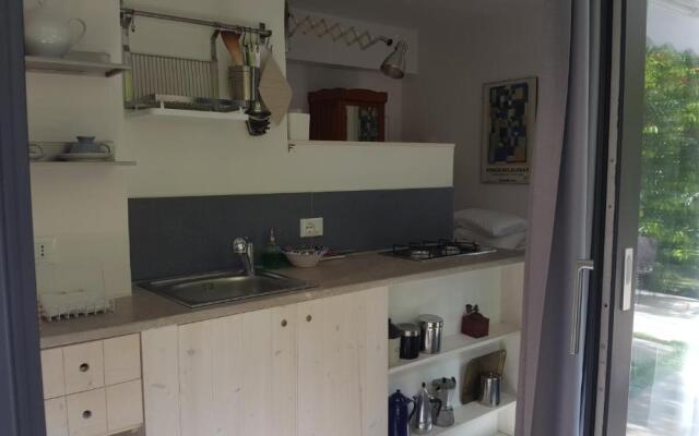 Nel Giardino Degli Agrumi