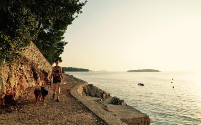 Oasis Premium Primosten