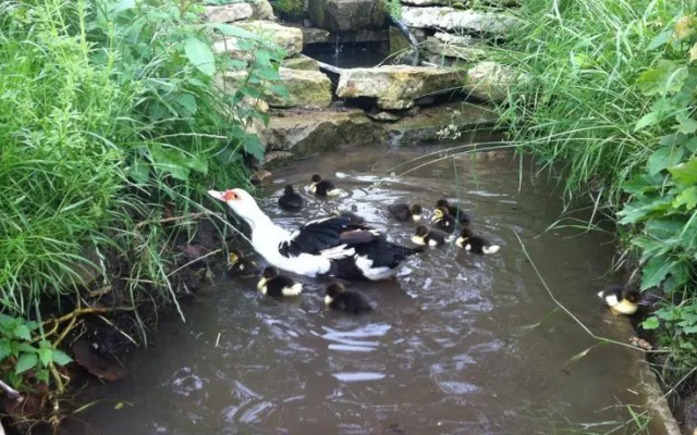 Äventyrsgårdens Vandrarhem, Kinnekulle
