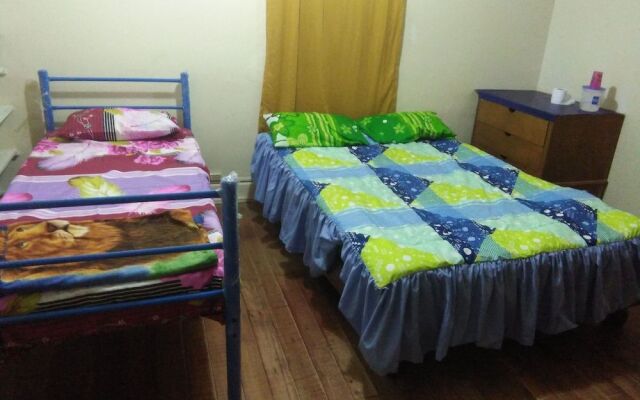 Krishna Hostal - Hostel