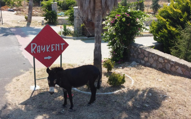 Vi̇lla Erni̇s - Datça Raykent Tati̇l Si̇tesi̇ - Ki̇ralik