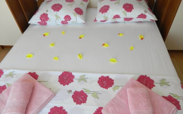 Apartments Darka