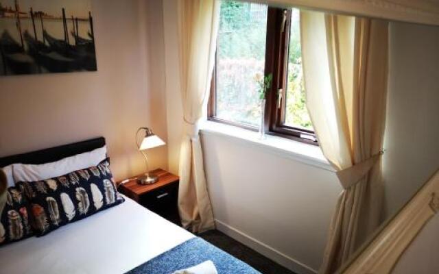 Mycosy 605