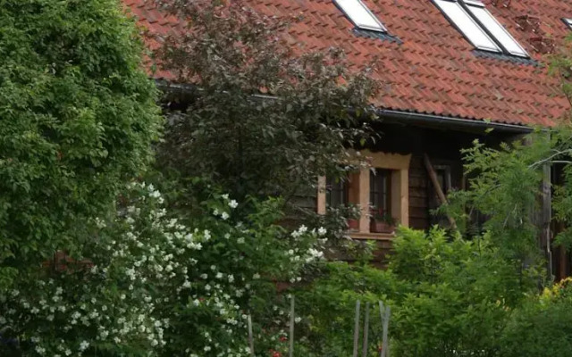 Stara Szkoła Architekci