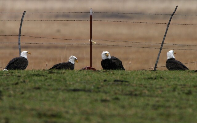 Carson Valley Motor Lodge & Suites