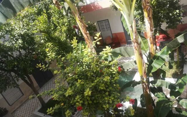 So Chic Riad