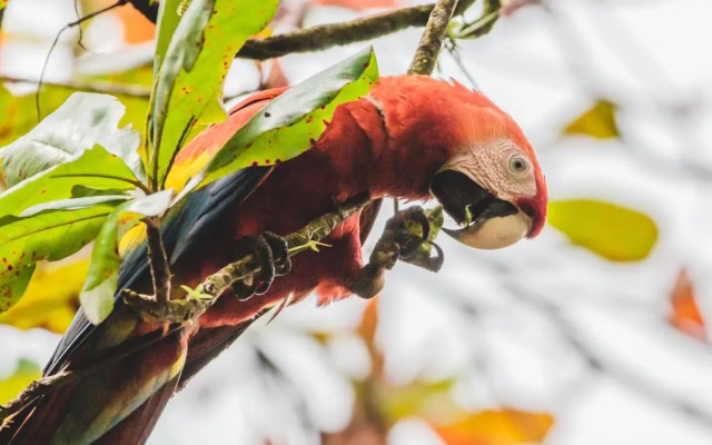 Palapa Hut Hostel & Camping