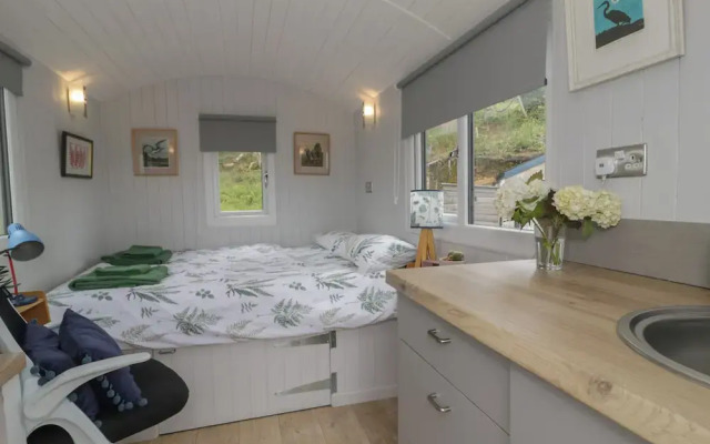 Shepherd's Hut at Penrallt Goch