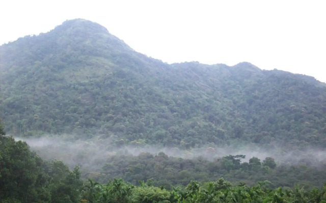 Great Hornbill Serviced Villa , Nilambur