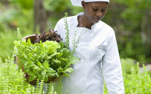 Casa Bonita Tropical Lodge