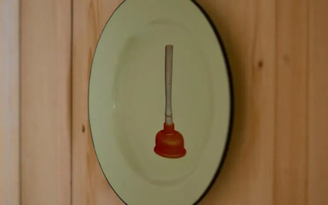 Smoking Dogs Apartment