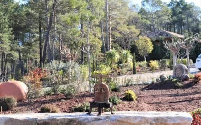 Domaine Les Sanguinedese