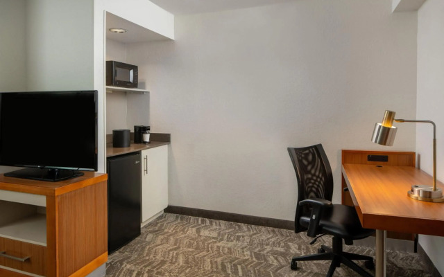 SpringHill Suites by Marriott Orlando Convention Center/International Drive Area