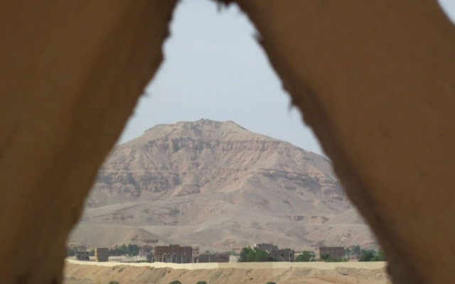 Scorpion House