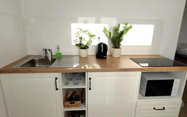 Attic studio Cathouse shared