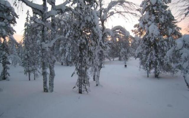 Saariselän Marjamajat