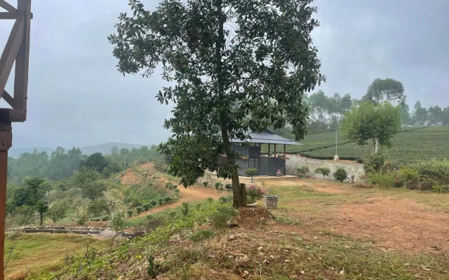 Binh Nga Homestay