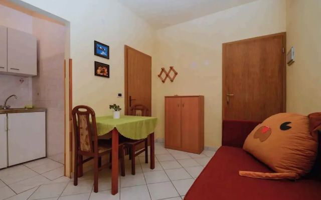 Apartments Pjescana Uvala/istrien 11166