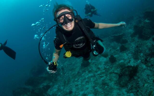 Carabao Diving Koh Tao