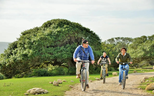 De Hoop Collection Suites