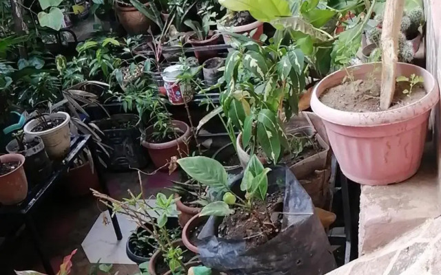 Two-Hearts Dormitory