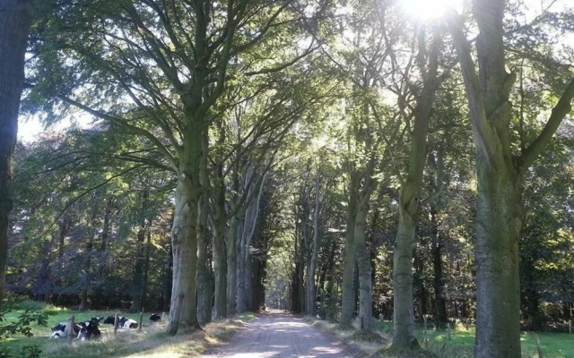 B&B De Poppelse Hoeve