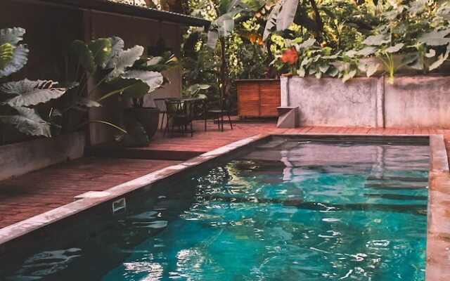 Saboga Lodge and Villa Noelia