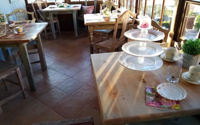 Ziggy's Mountain Retreat