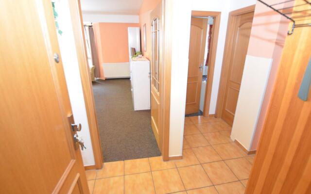 Snug Apartment in Jachymov near Ski Area