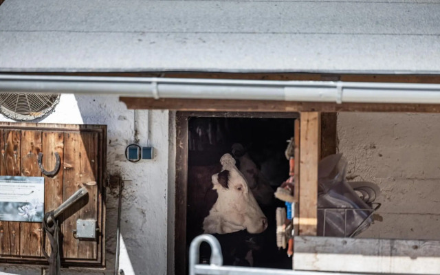 Bergbauernhof Schoberlehen