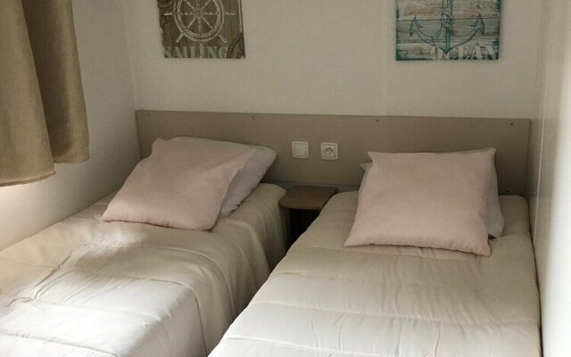 Becassine des Marais