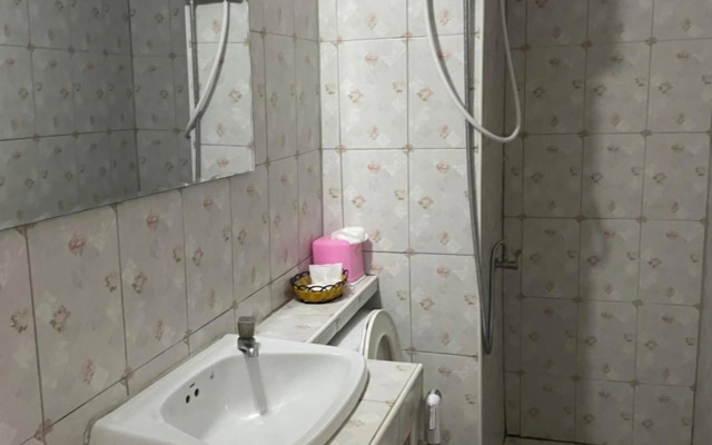 Popular C3 Impact by Anna