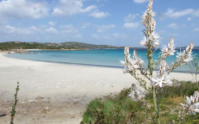 Apartment Mari Pittulongu