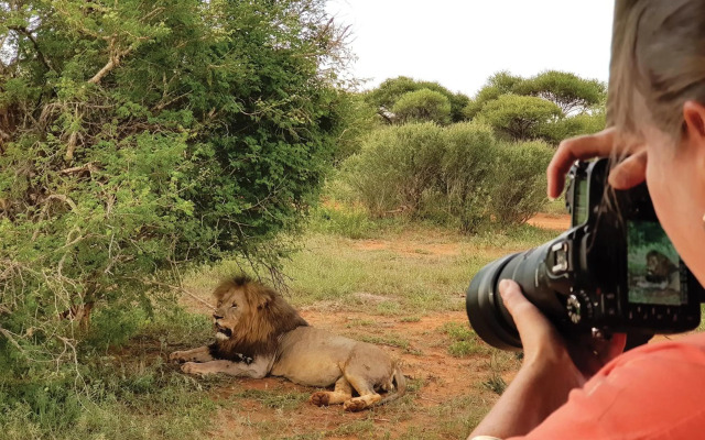 Madikwe River Lodge