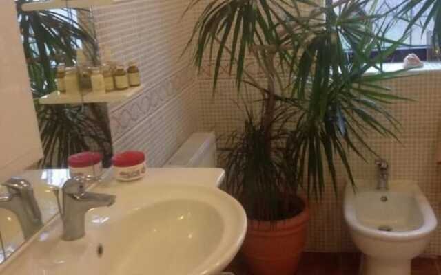 The Cedars House B&B